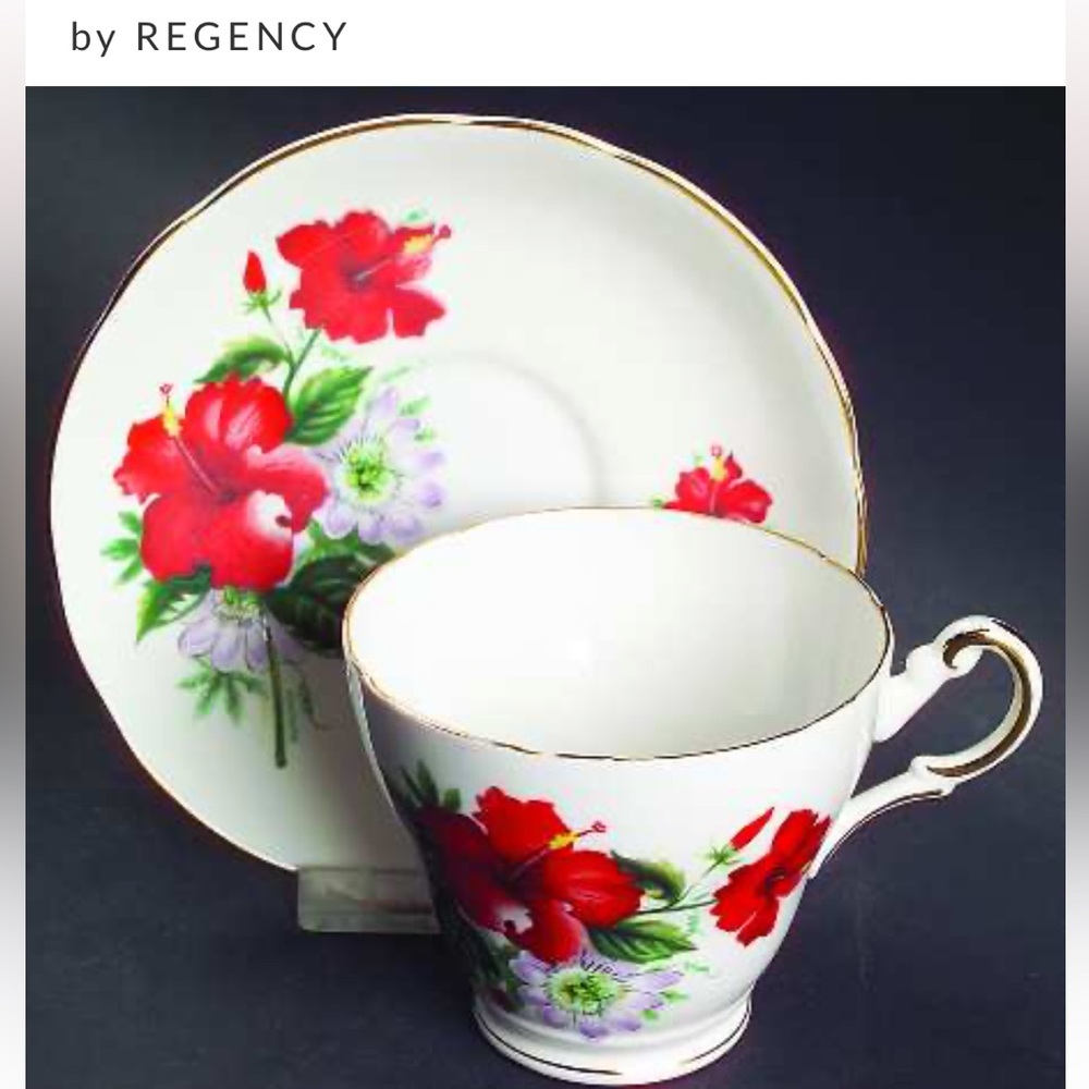 Gorgeous Regency English bone China tea cup & saucer 🌺